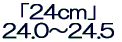 24c（24.0～24.5cm）